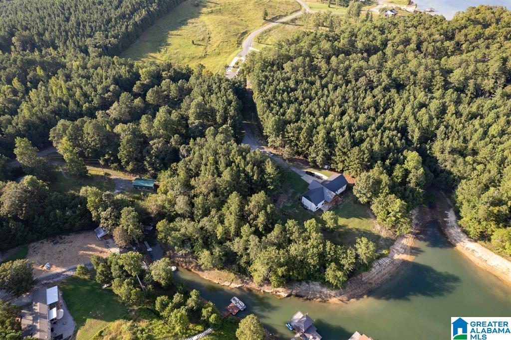 Lot D Camp Jimmy Goodwin Road, Unit LOT D Jasper, AL 35503 - Photo 12 of 13