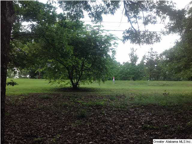 South Shades Crest Road Helena, AL 35022 - Photo 3 of 4