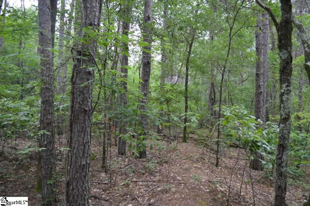 0 Mt Lebanon Church Road Greer, SC 29651 - Photo 11 of 22