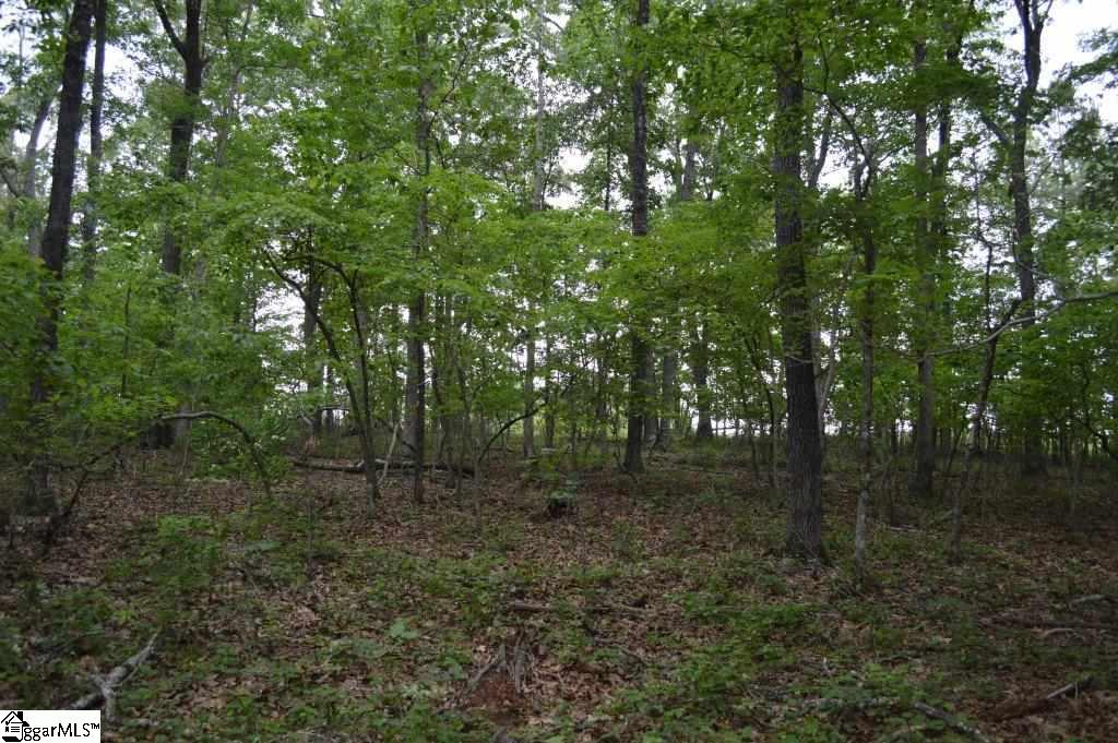 0 Mt Lebanon Church Road Greer, SC 29651 - Photo 14 of 22