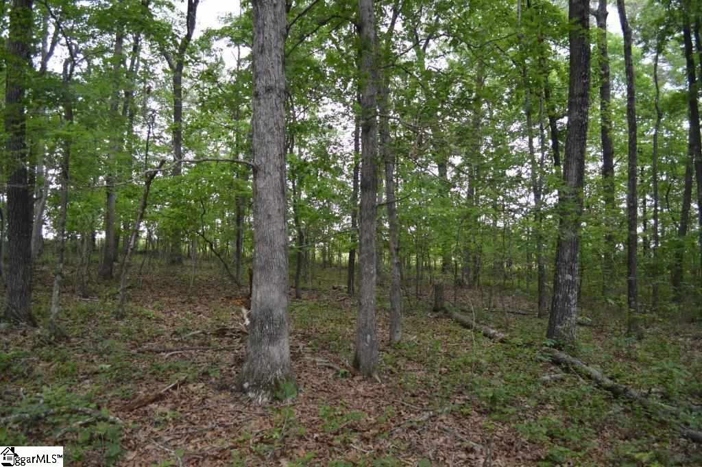 0 Mt Lebanon Church Road Greer, SC 29651 - Photo 15 of 22