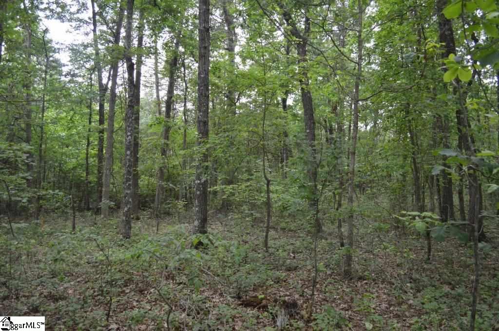0 Mt Lebanon Church Road Greer, SC 29651 - Photo 17 of 22