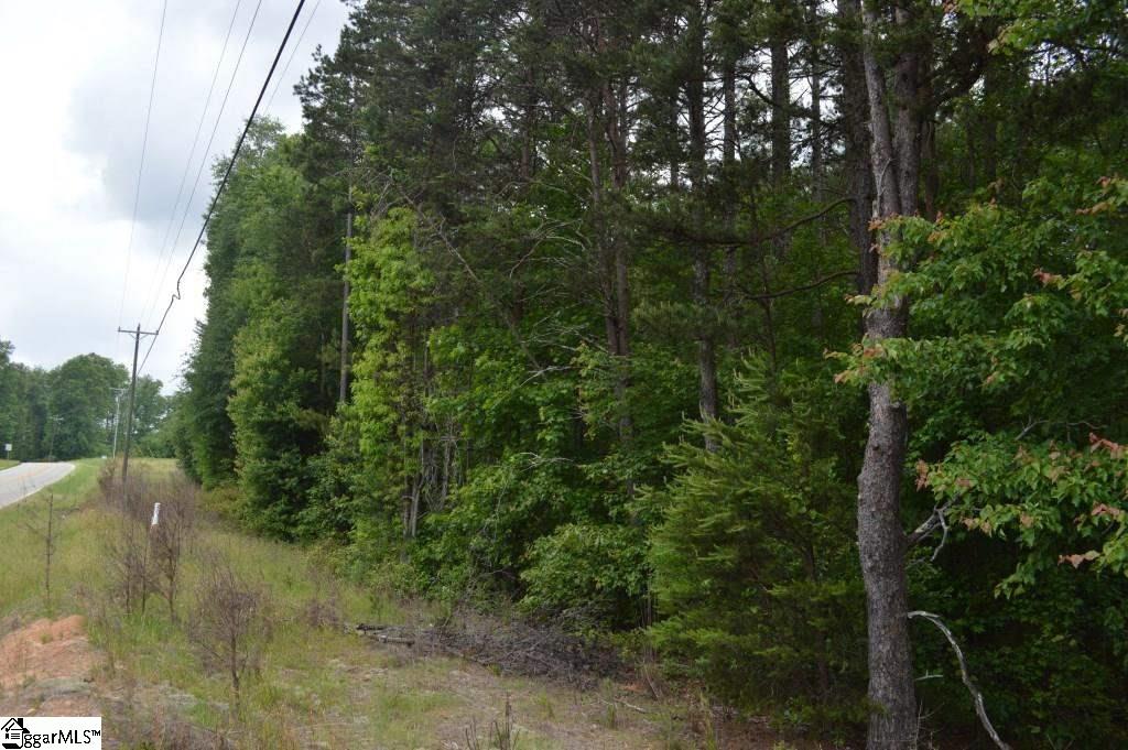 0 Mt Lebanon Church Road Greer, SC 29651 - Photo 4 of 22
