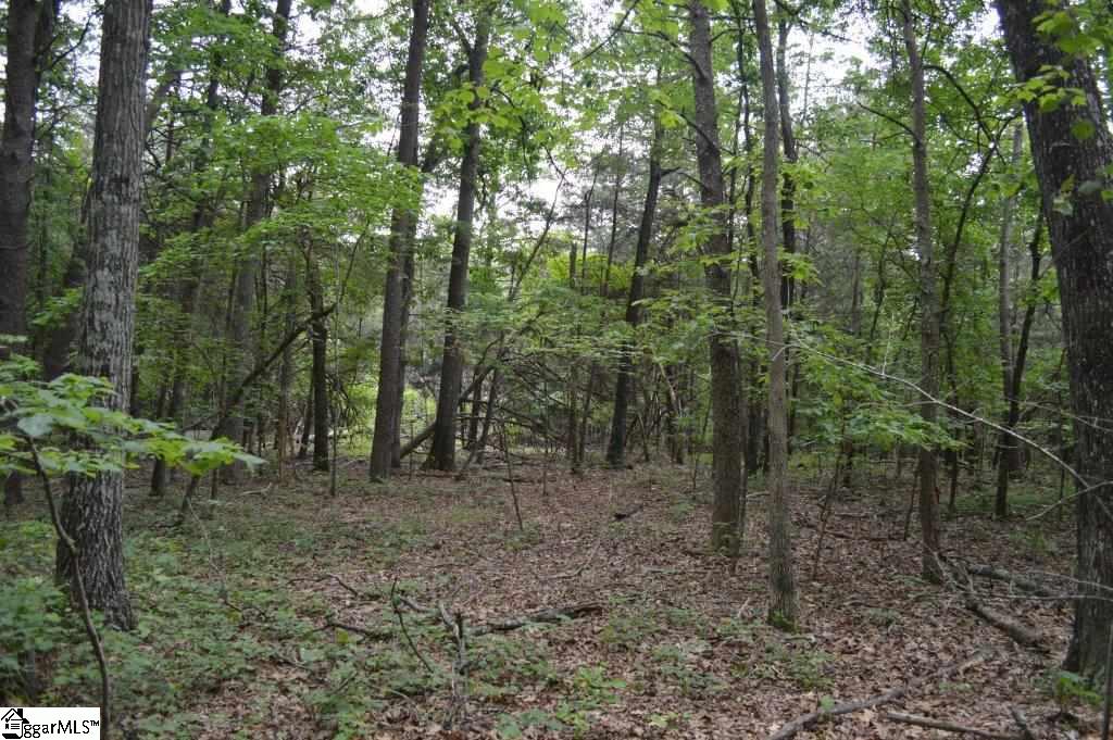 0 Mt Lebanon Church Road Greer, SC 29651 - Photo 5 of 22