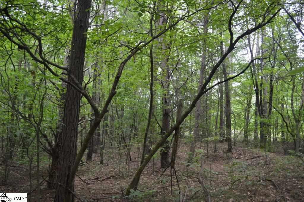 0 Mt Lebanon Church Road Greer, SC 29651 - Photo 8 of 22