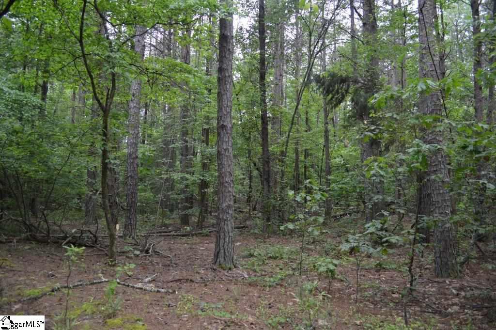 0 Mt Lebanon Church Road Greer, SC 29651 - Photo 10 of 22