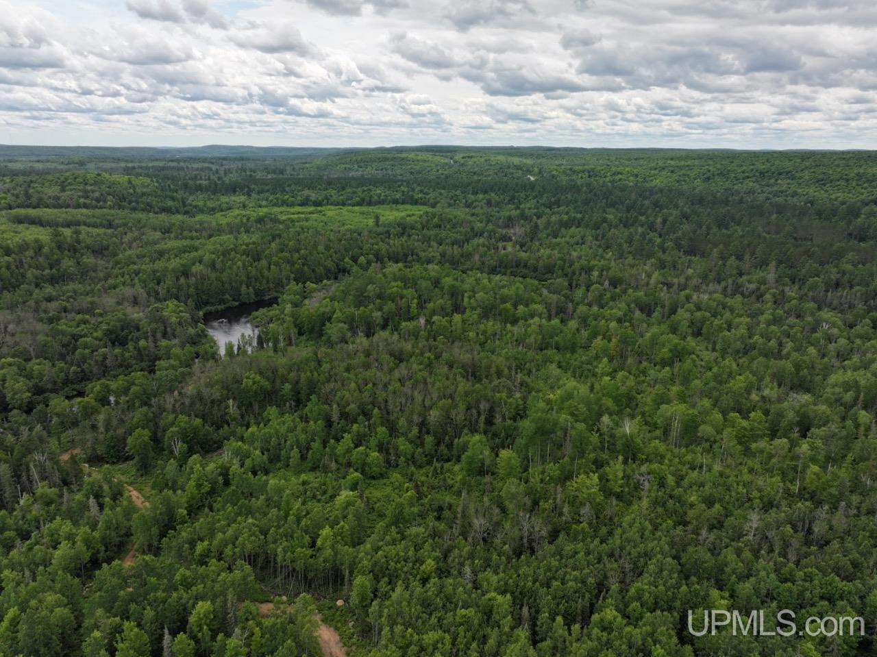 94-acres Off Bates Amasa Road Crystal Falls, MI 49920 - Photo 19 of 38