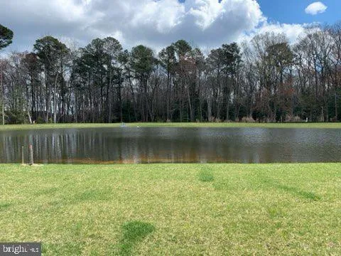 a view of a lake