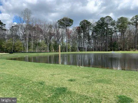 a view of a back yard