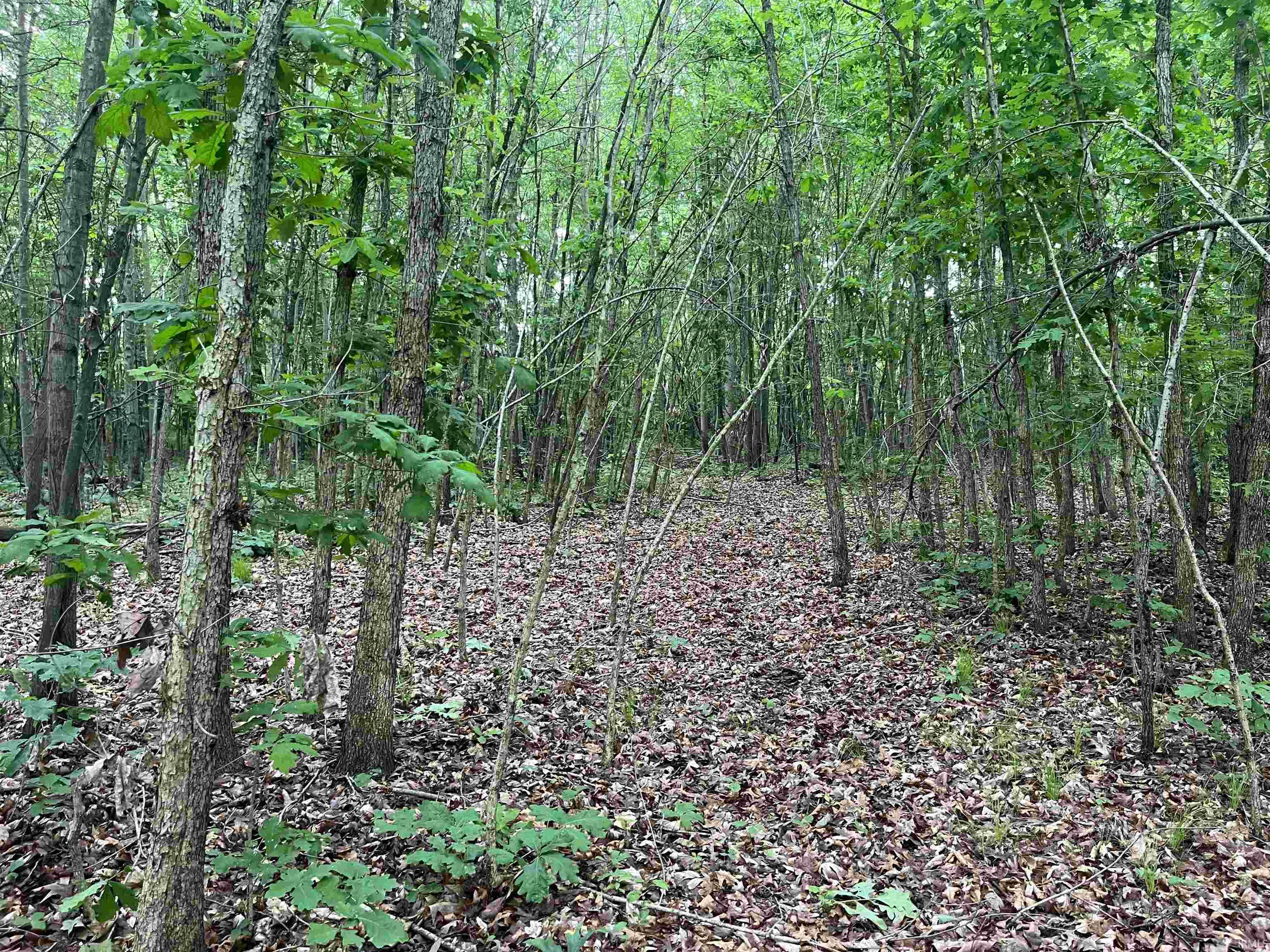 52104 Ash Road Granger, IN 46530 - Photo 17 of 24