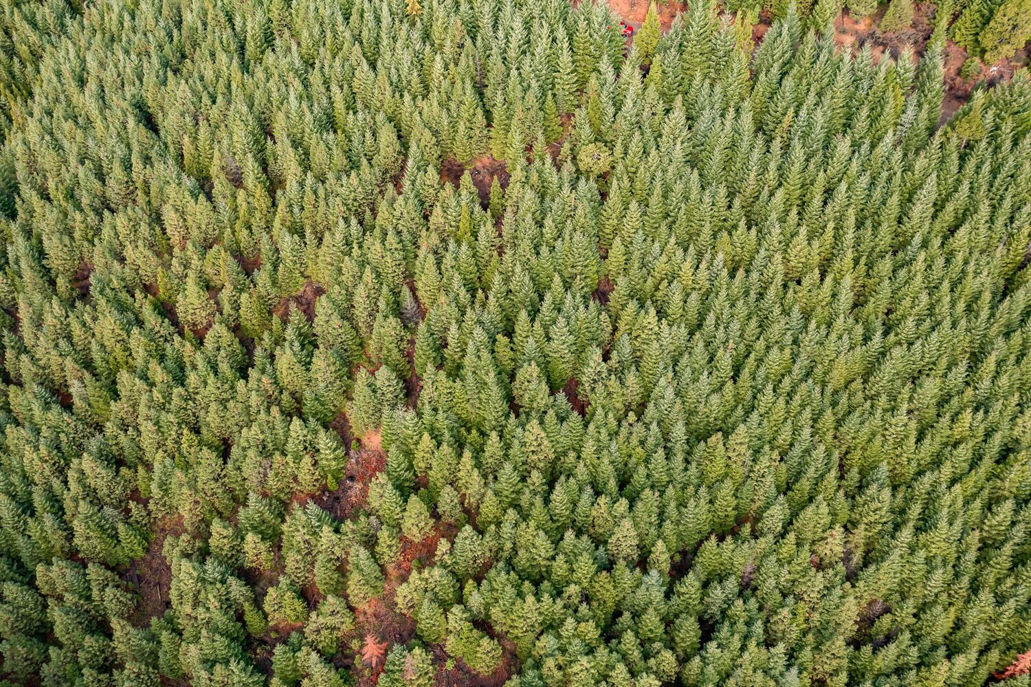 River Road Trail, OR 97541 - Photo 6 of 20 DJI_0928HDR27