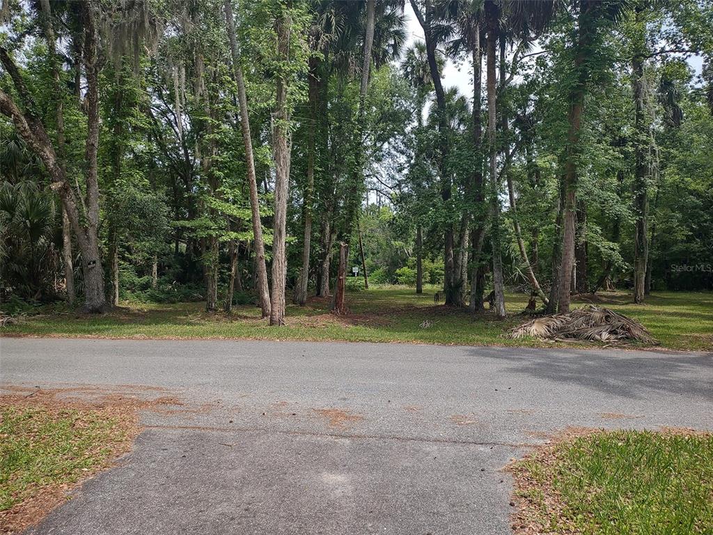56508 Blue Creek Road Astor, FL 32102 - Photo 50 of 59