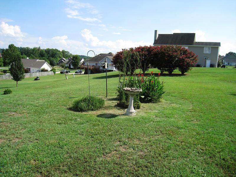 1148 Foxfire Road Cleveland, TN 37323 - Photo 29 of 31 29