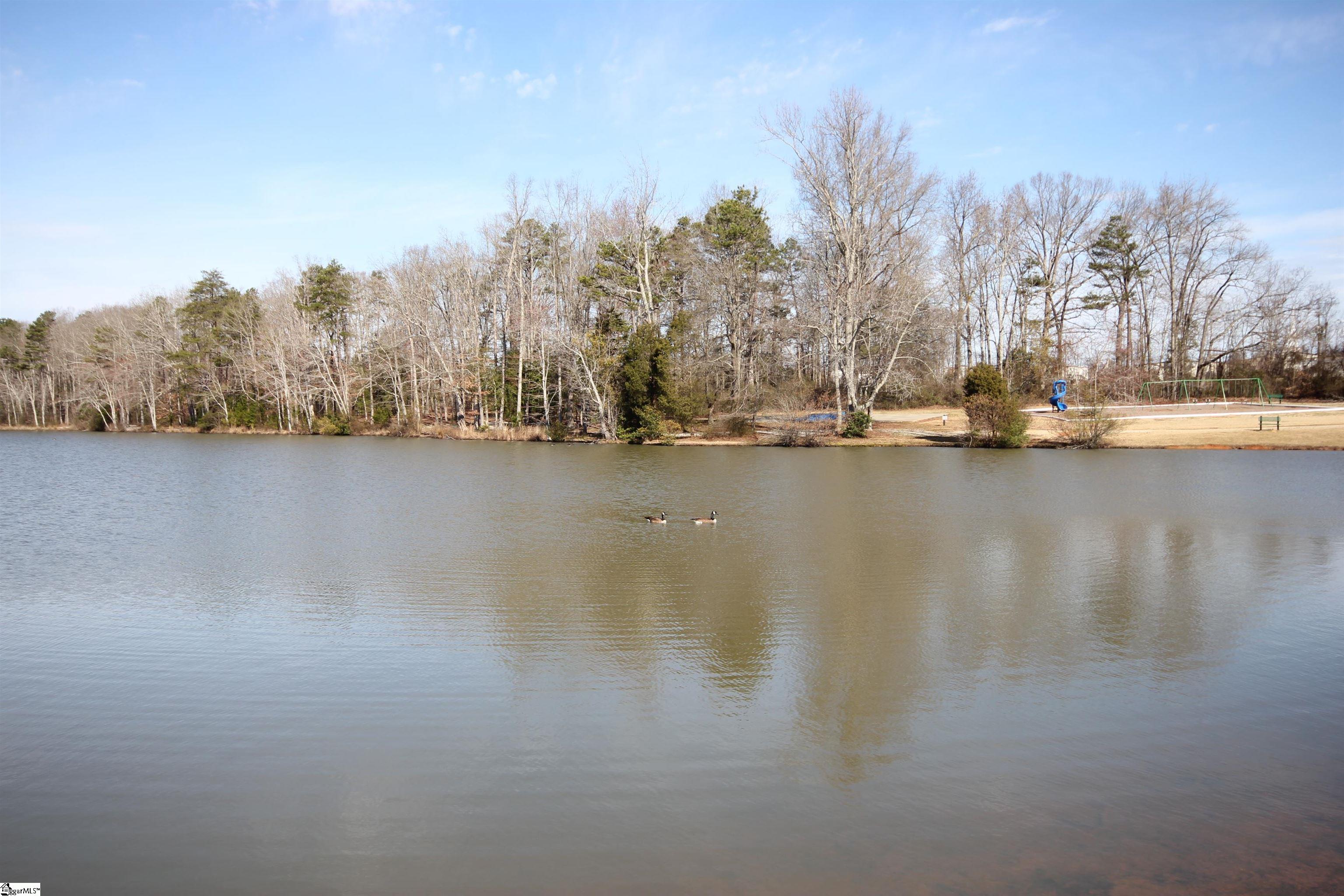 616 Fairview Lake Way Simpsonville, SC 29680 - Photo 33 of 34