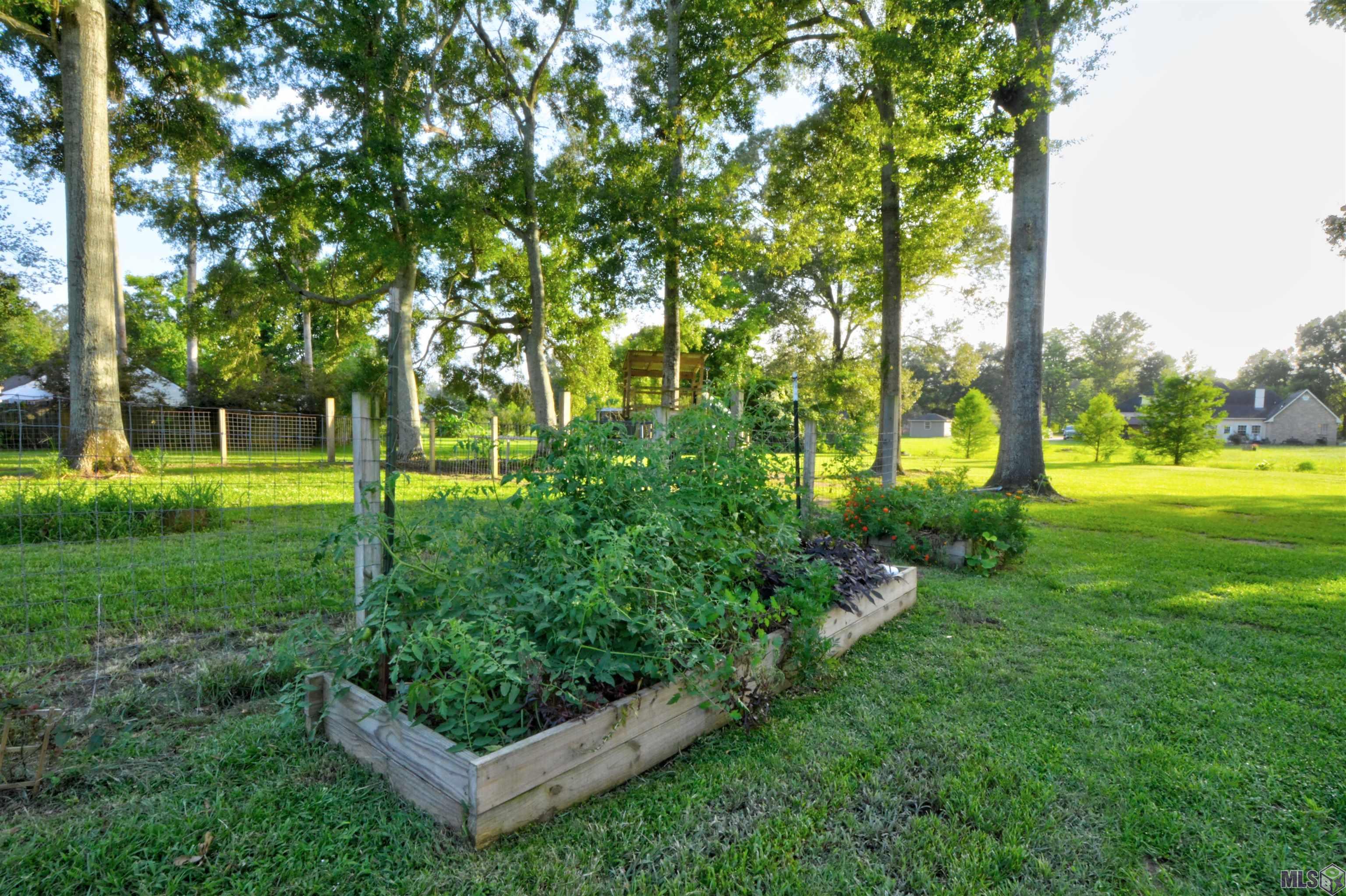 23065 Elberta Lane Zachary, LA 70791 - Photo 41 of 43