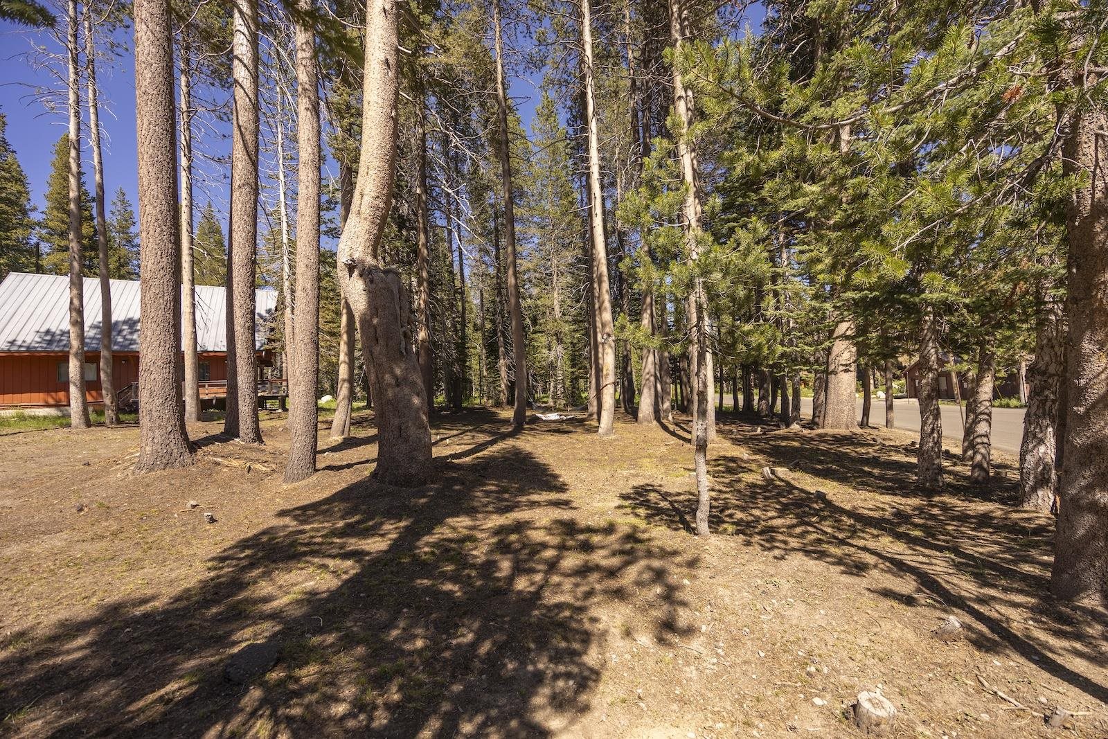 5012 Serene Road Soda Springs, CA 95728 - Photo 13 of 18