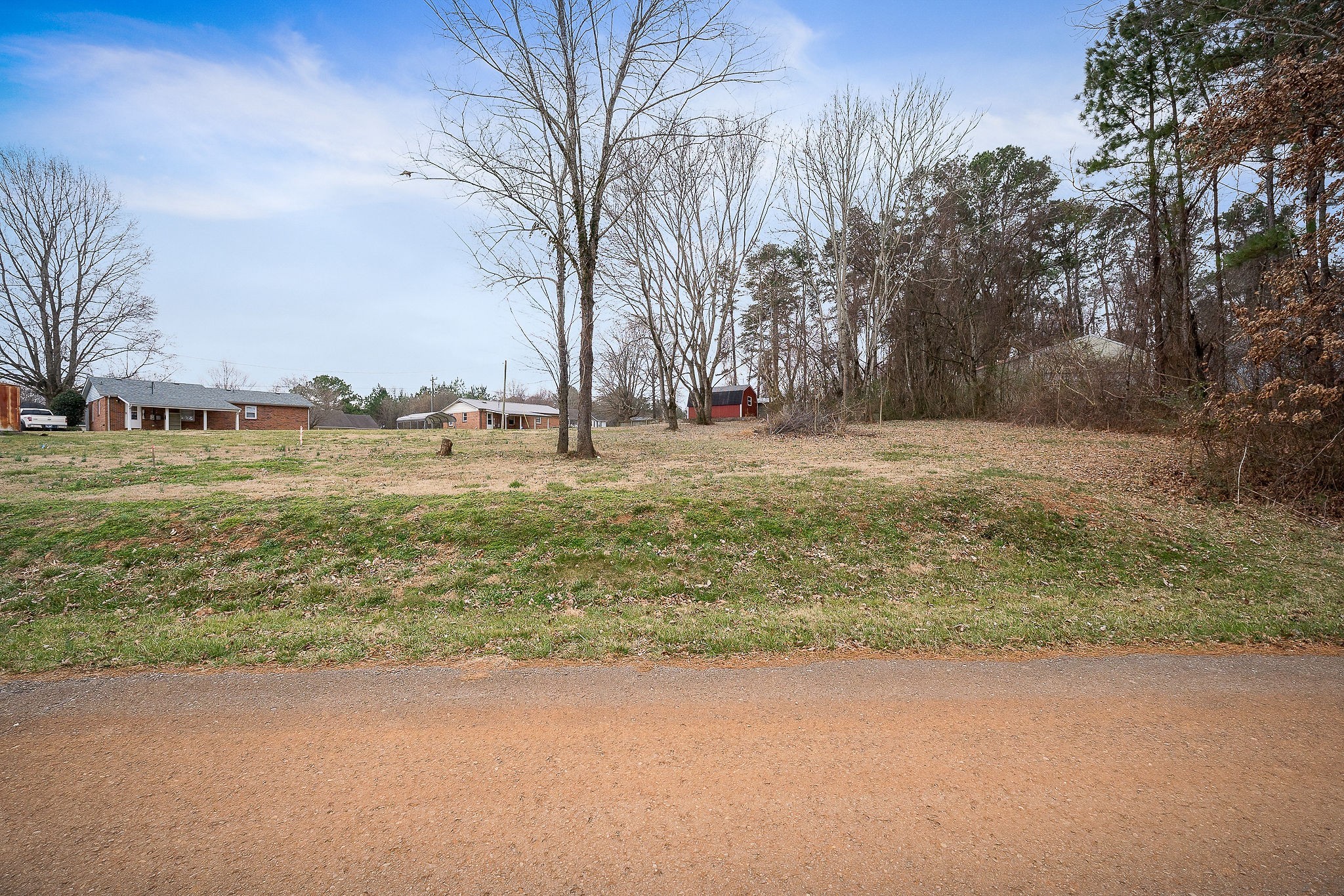 0 Pine Avenue Morrison, TN 37357 - Photo 13 of 14 a view of yard with trees