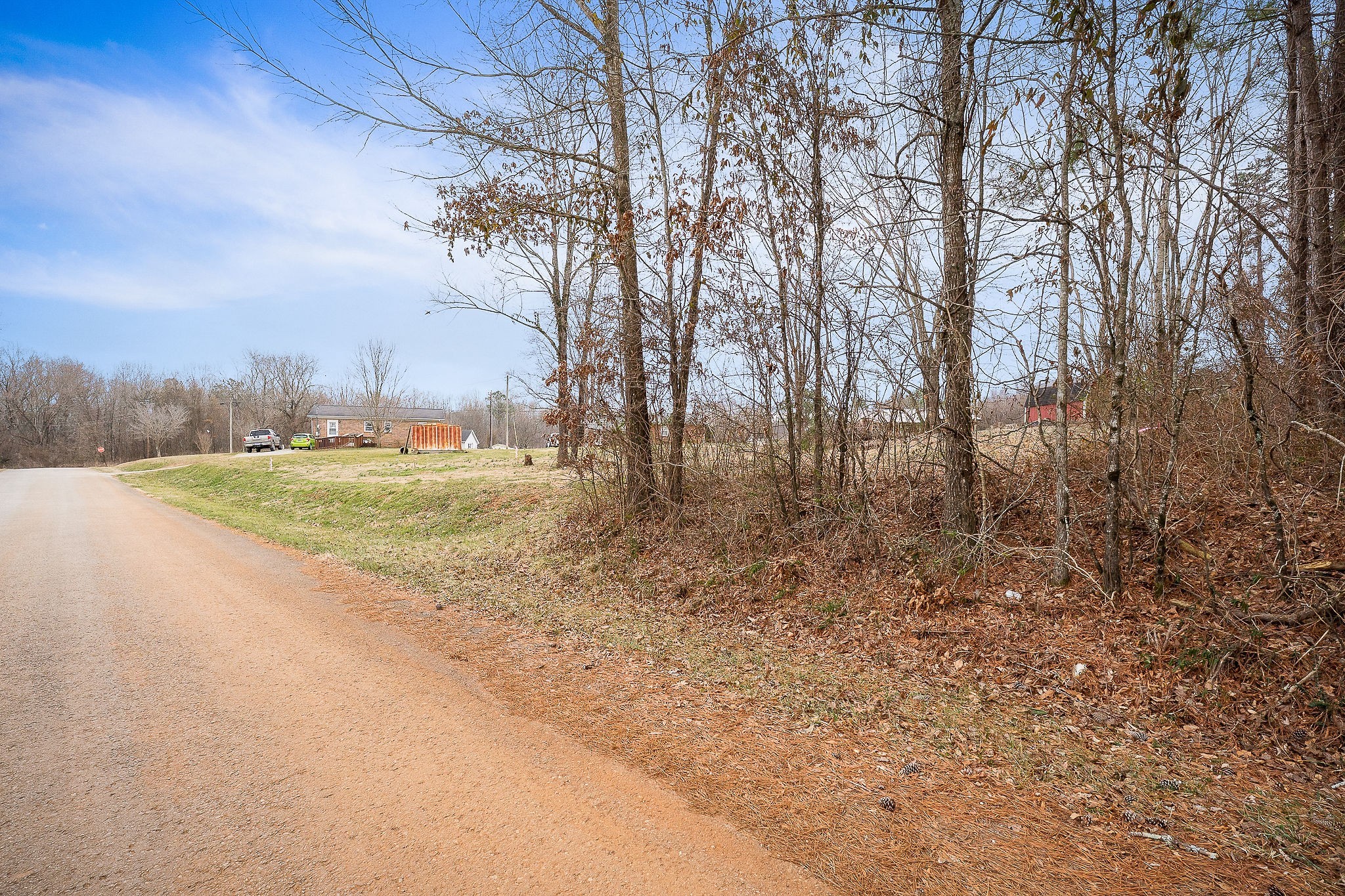 0 Pine Avenue Morrison, TN 37357 - Photo 14 of 14 a backyard of a house with lots of green space