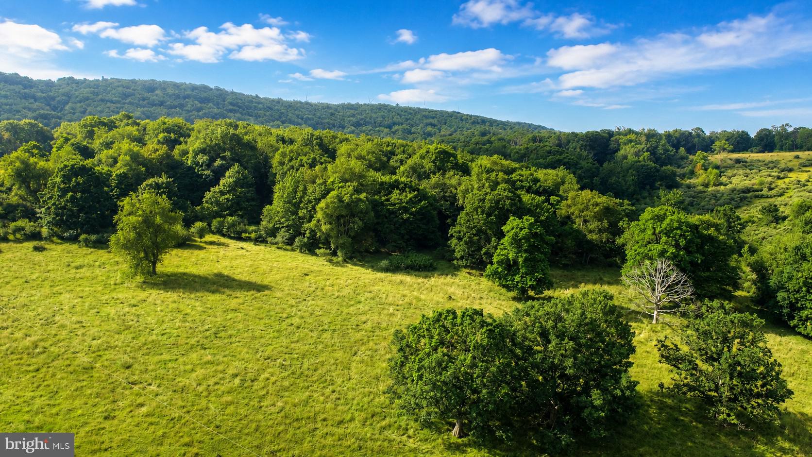 97-acres Lot C 97-acres Road Oakland, MD 21550 - Photo 19 of 21