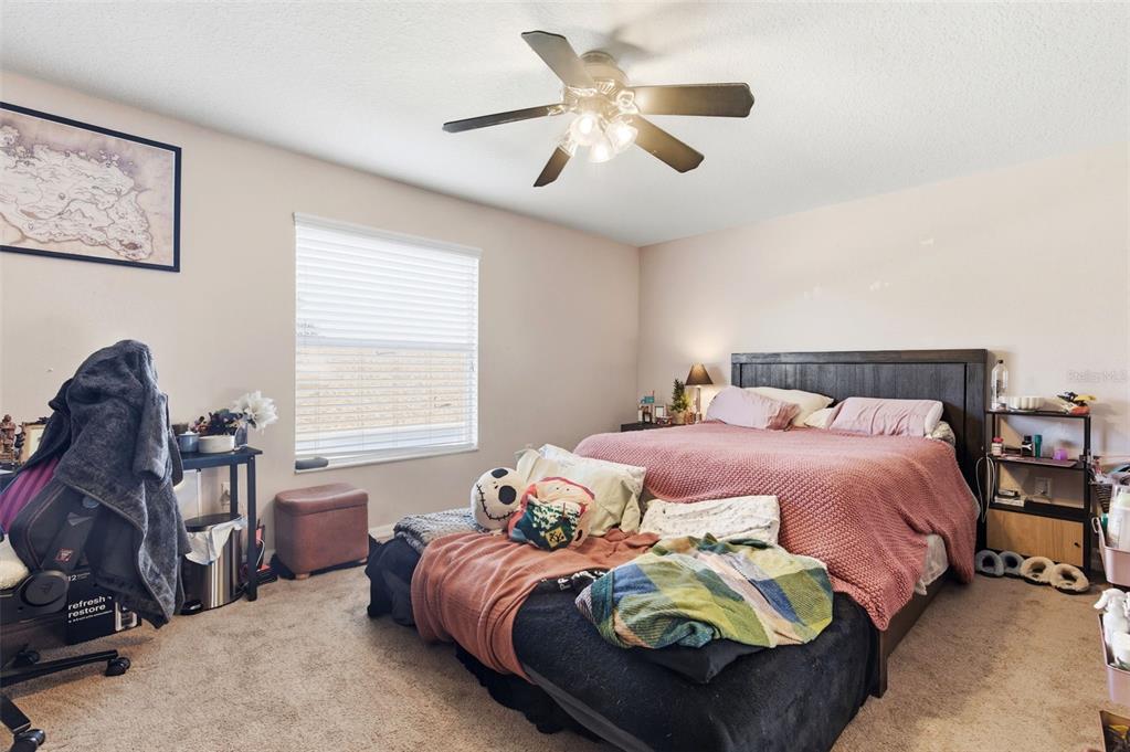8131 Lucidul Court Trinity, FL 34655 - Photo 48 of 73