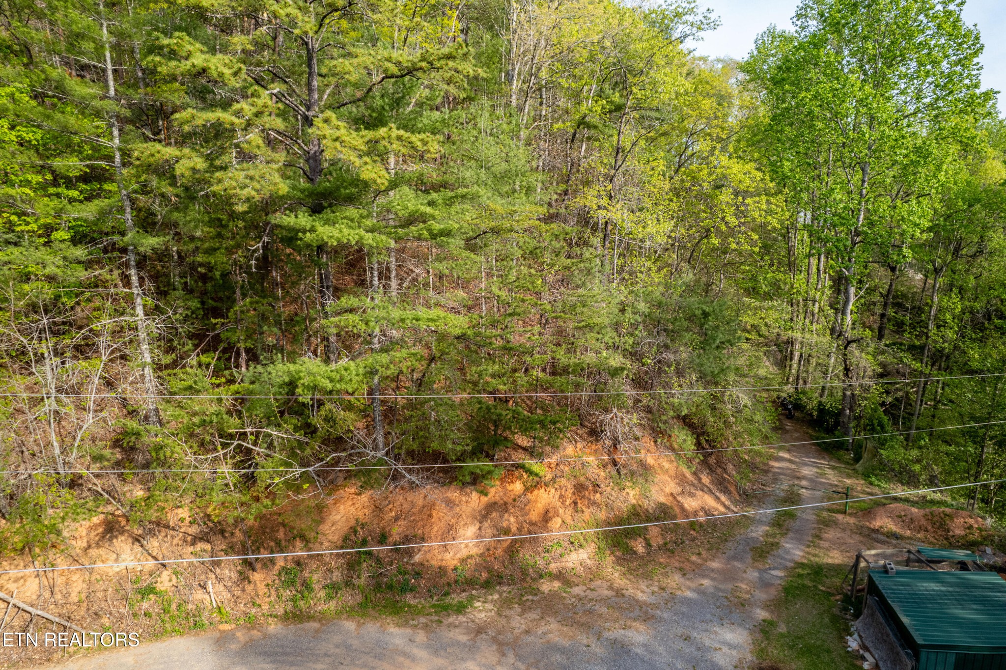 240 Mt Luke Road Townsend, TN 37882 - Photo 8 of 24 Gallery Image 8