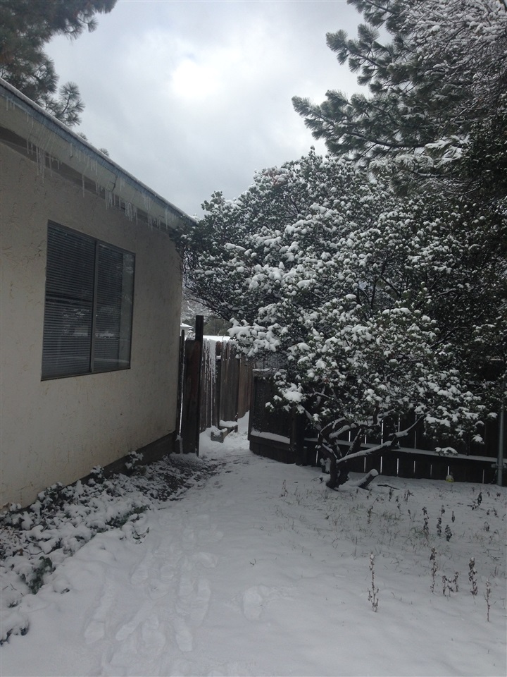 29823 Widgeon Road Campo, CA 91906 - Photo 22 of 24 Light snow once or twice a year. Front Yard.