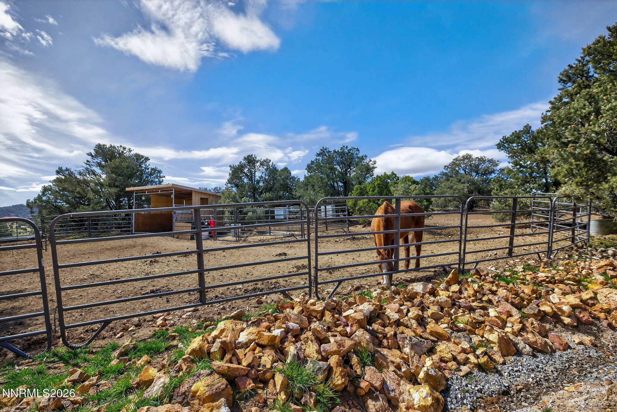 90 Toll Road Reno, NV 89521 - Photo 46 of 58 56-web-or-mls-90 Toll Rd-56