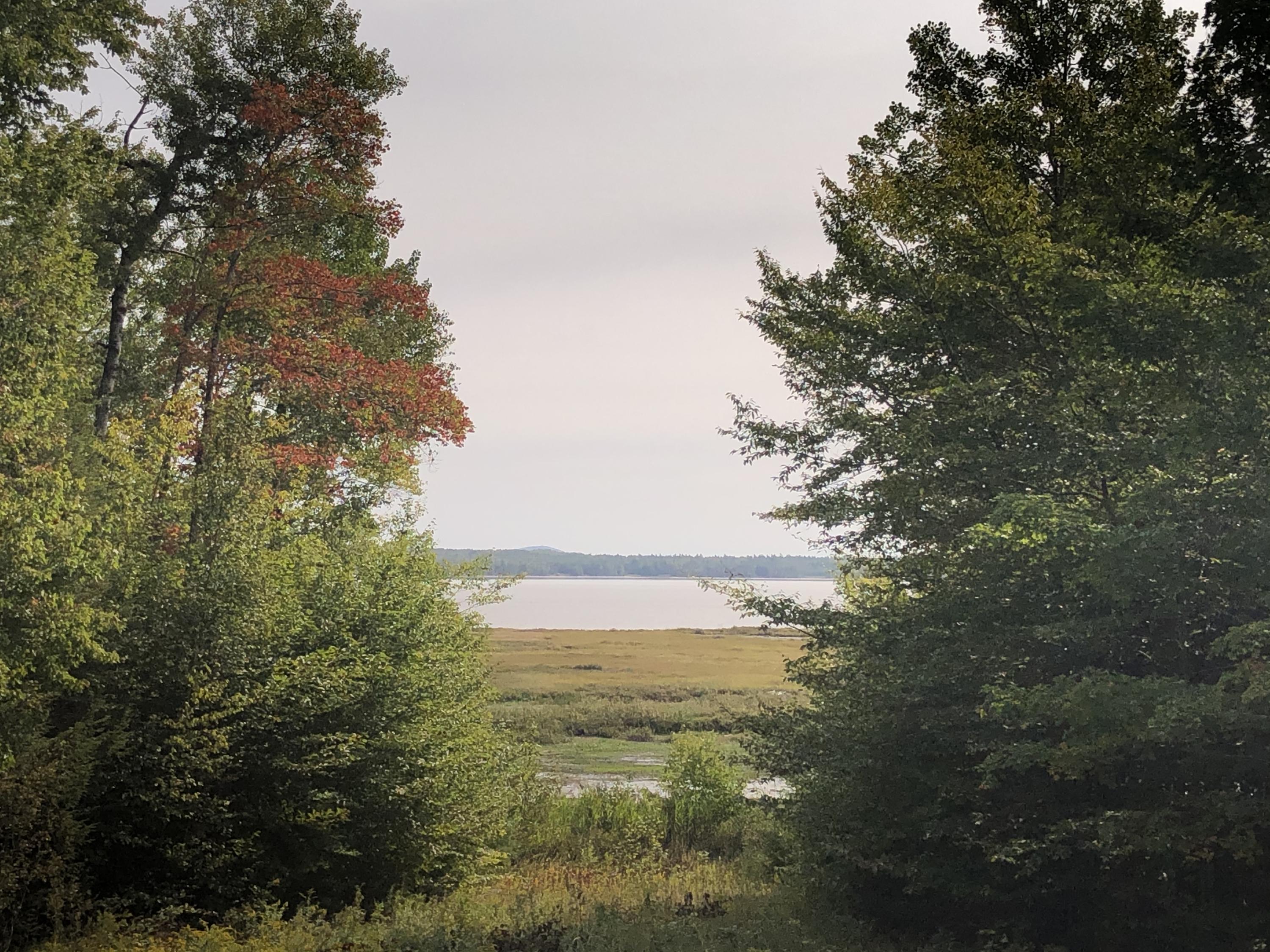 92 Whitmore Road Mariaville, ME 04605 - Photo 8 of 42 EA329861-12FB-4686-A3A7-305B9CF29987