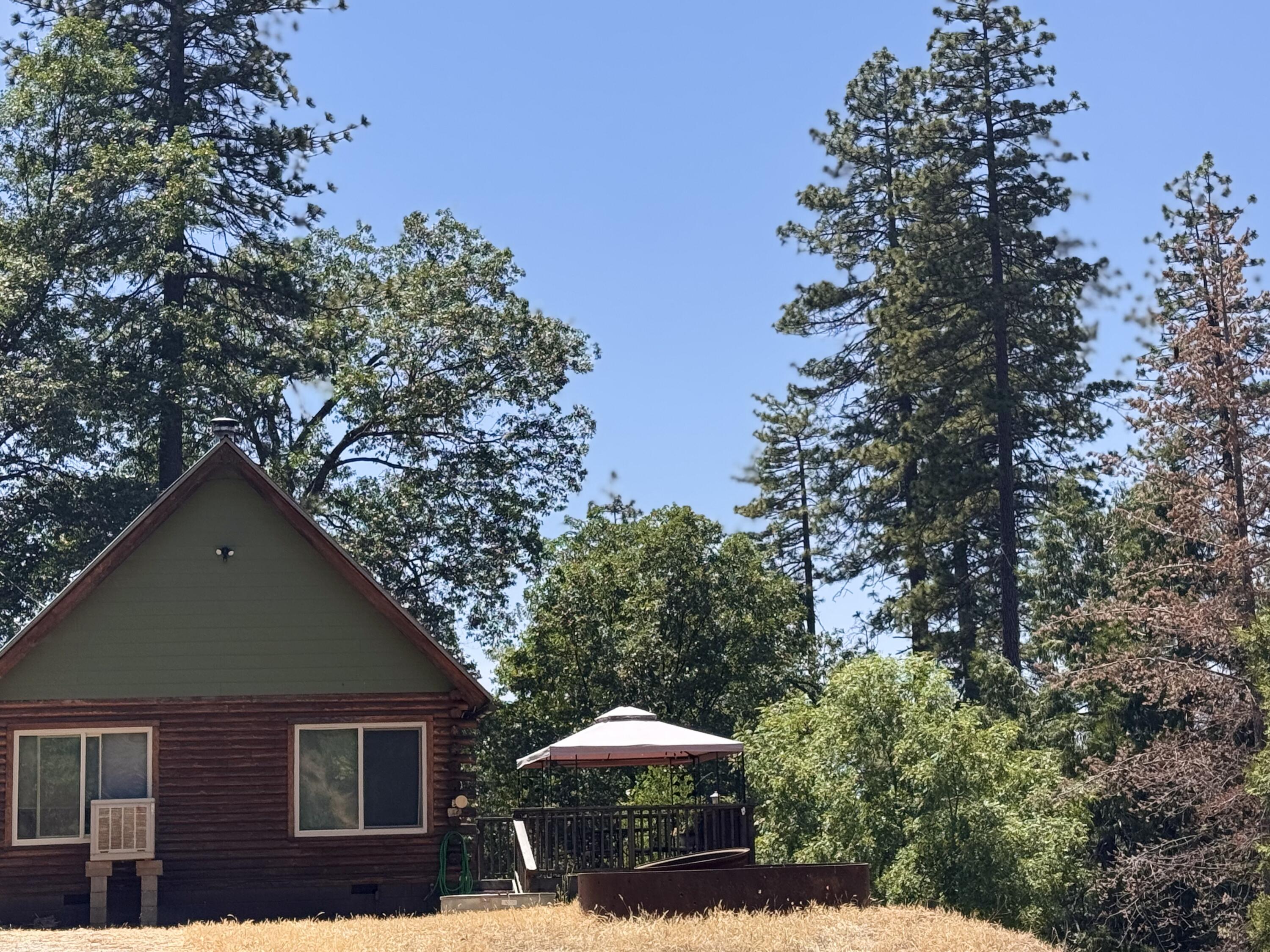 51911 Hogback Miramonte, CA 93641 - Photo 48 of 49 a backyard of a house with large trees