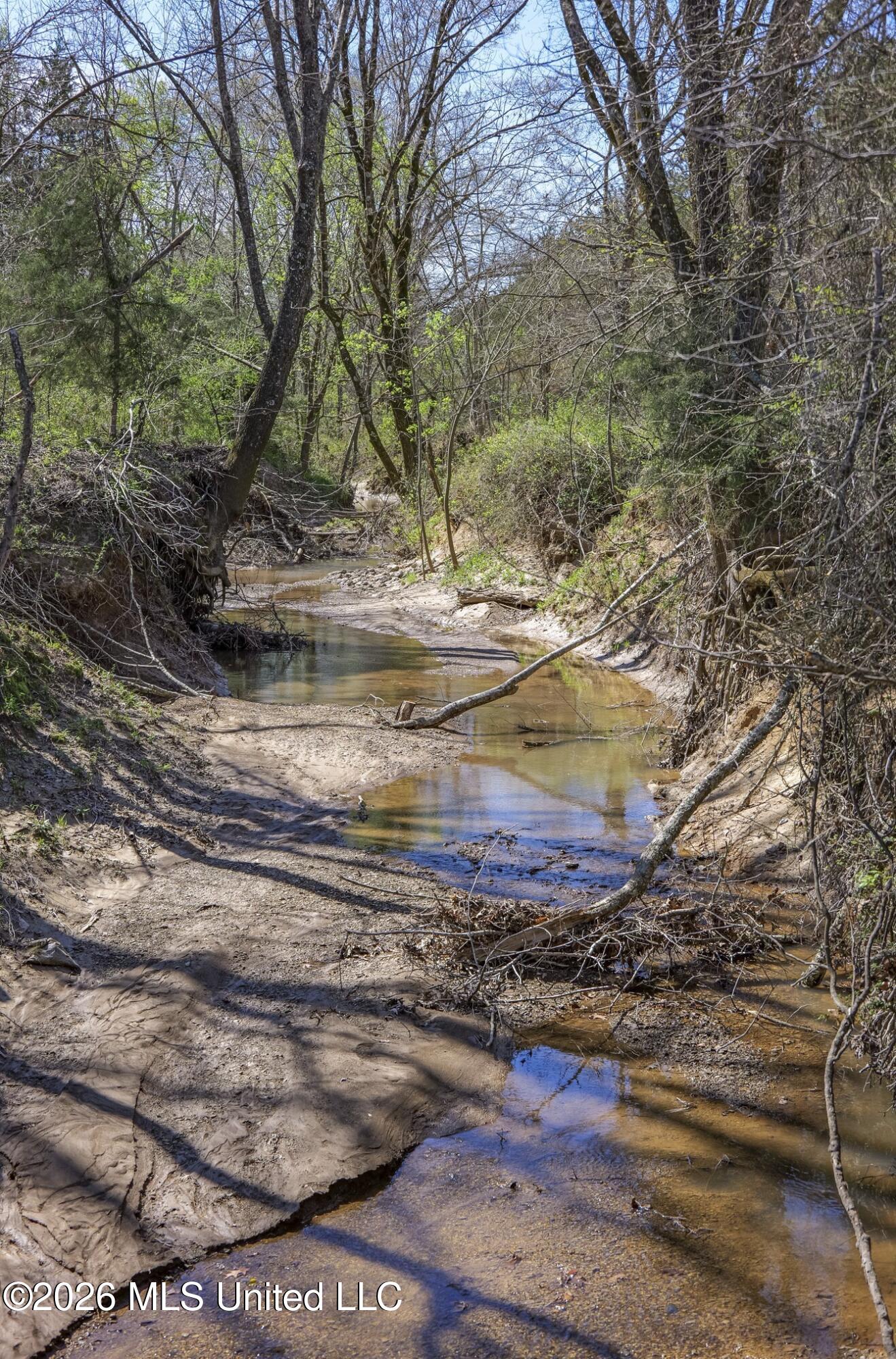 Shook Road Cascilla, MS 38920 - Photo 6 of 15 6