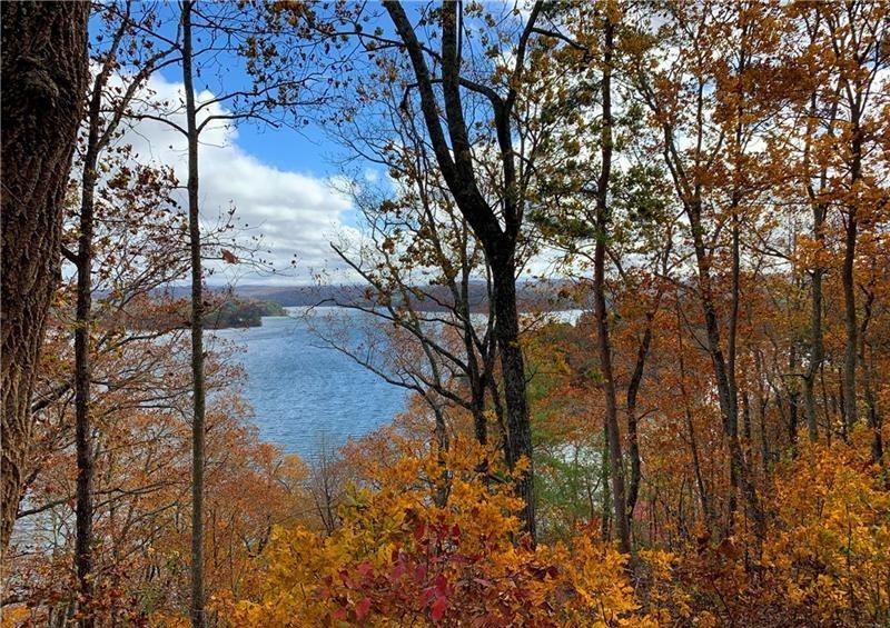 373 Nomad Court Ranger, GA 30734 - Photo 17 of 21 a view of a yard