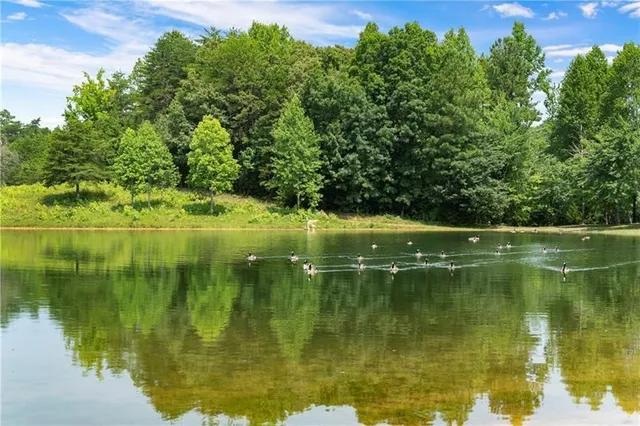 a view of lake background with house