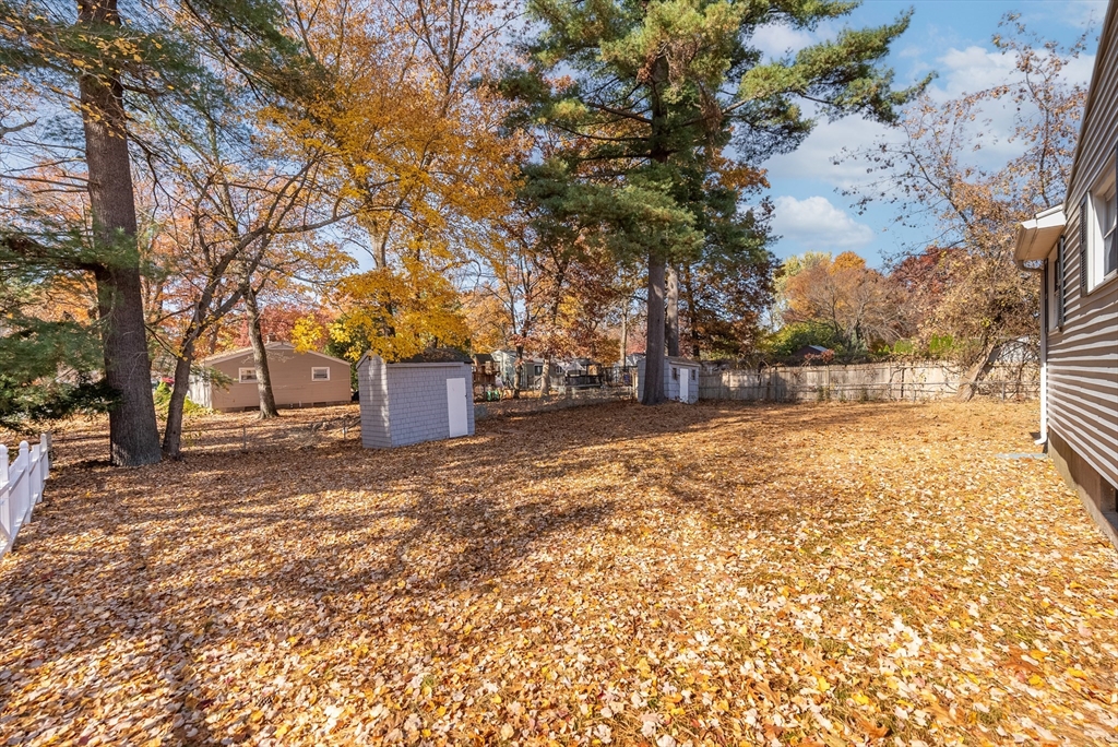 361 Newhouse Street Springfield, MA 01118 - Photo 38 of 42 Gallery Image 38