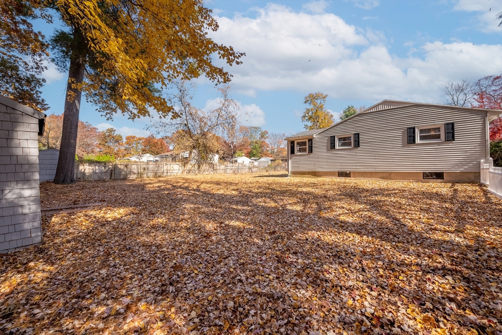 361 Newhouse Street Springfield, MA 01118 - Photo 39 of 42 Gallery Image 39