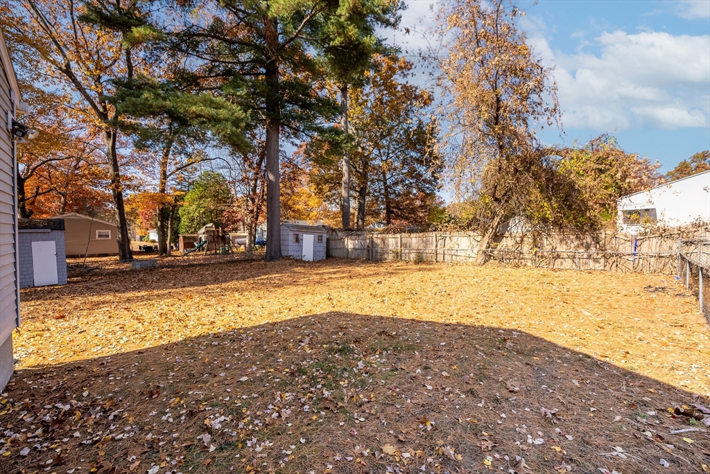 361 Newhouse Street Springfield, MA 01118 - Photo 41 of 42 Gallery Image 41