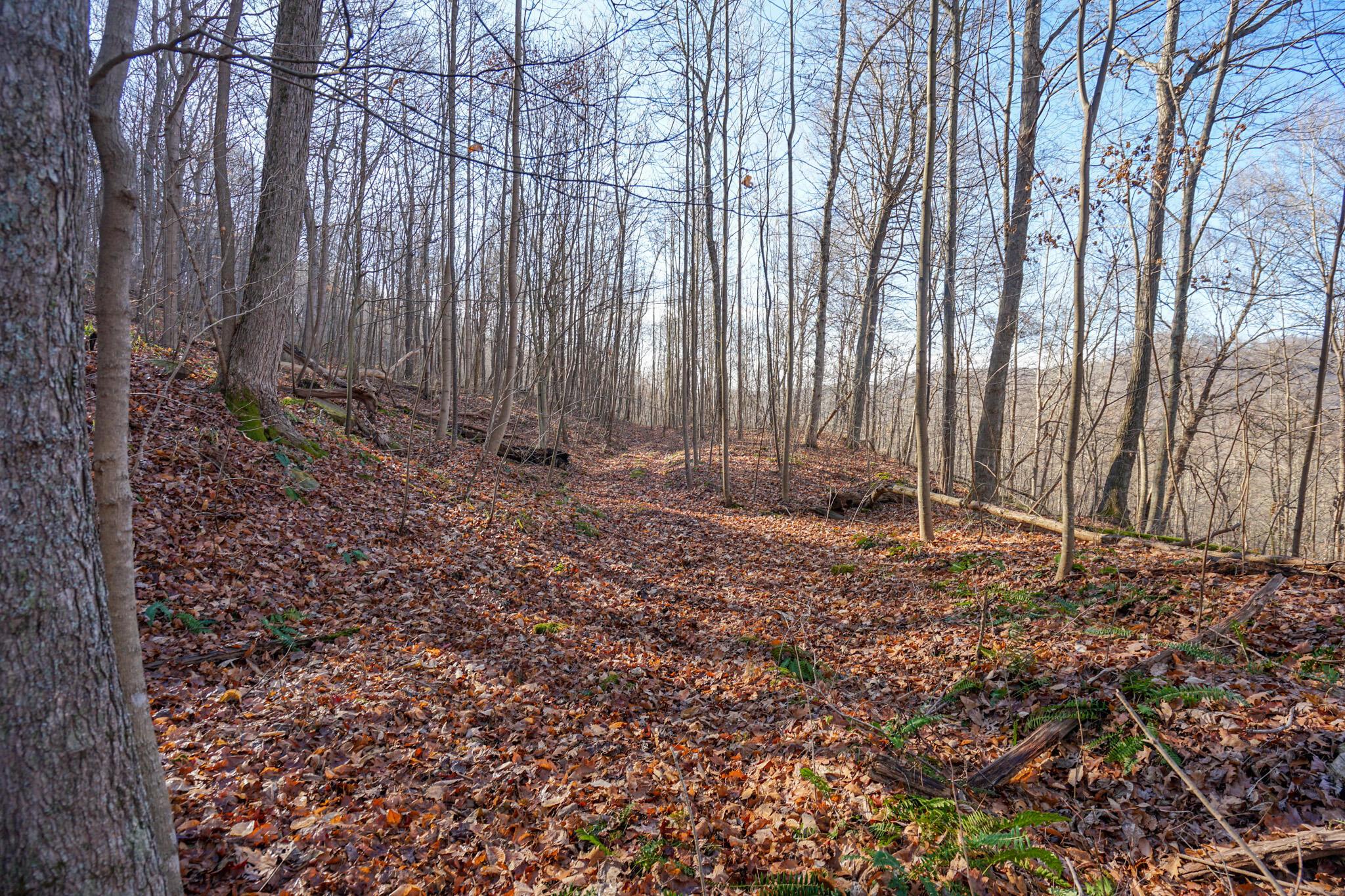 2430 Long Lick Road Stout, OH 45684 - Photo 27 of 47 DSC09741