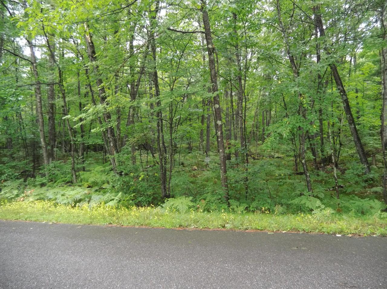 Lot 35 Kollman Road Woodruff, WI 54568 - Photo 1 of 4 Gallery Image 1