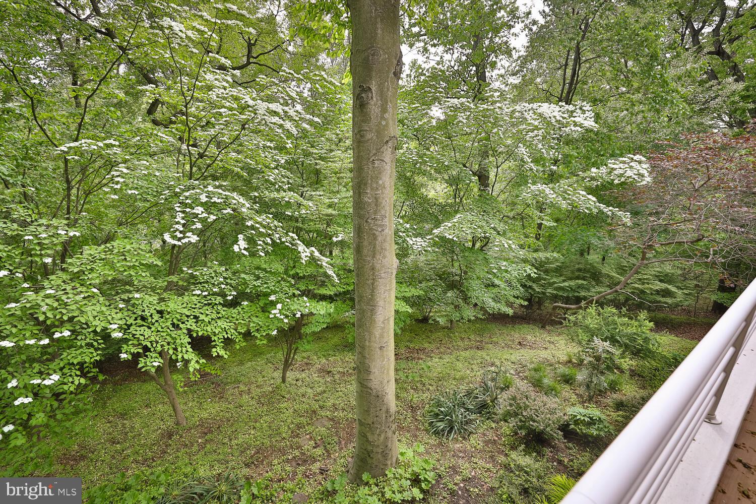 4126 Apalogen Road Philadelphia, PA 19129 - Photo 68 of 96