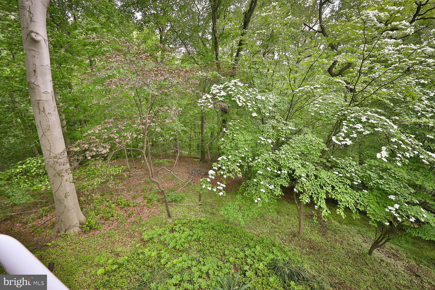 4126 Apalogen Road Philadelphia, PA 19129 - Photo 69 of 96