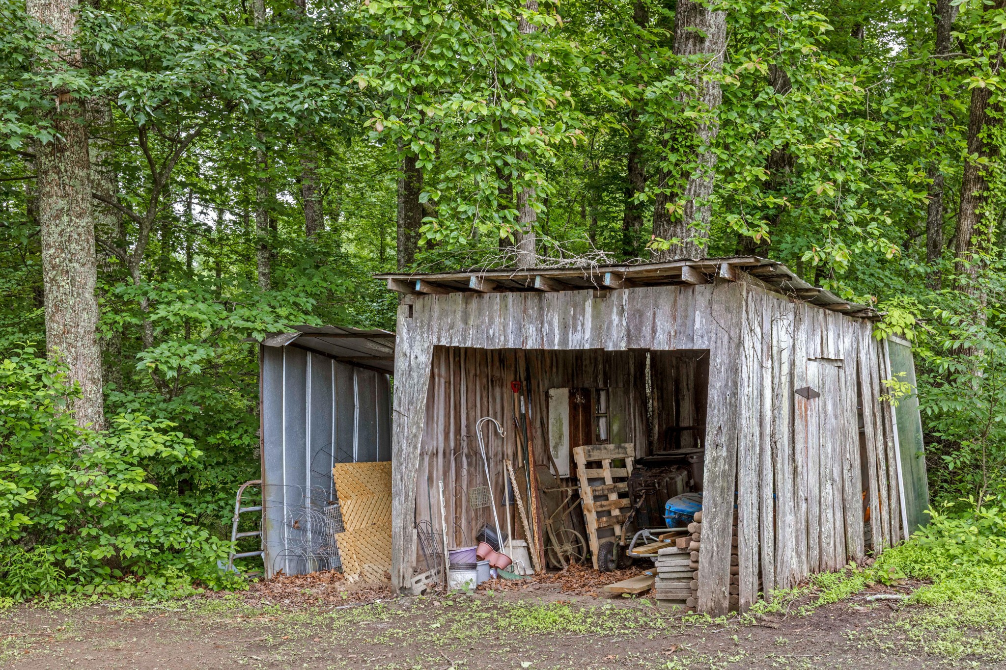 2595 Walkertown Road Dayton, TN 37321 - Photo 29 of 29