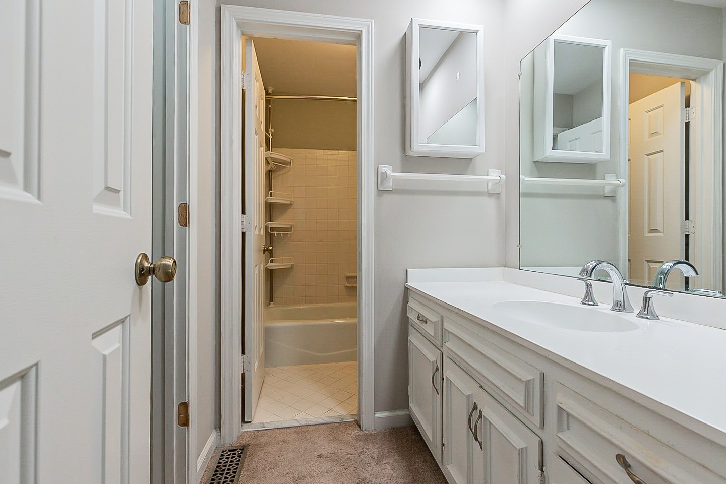 896 General George Patton Road Nashville, TN 37221 - Photo 21 of 23 a bathroom with a sink and a mirror