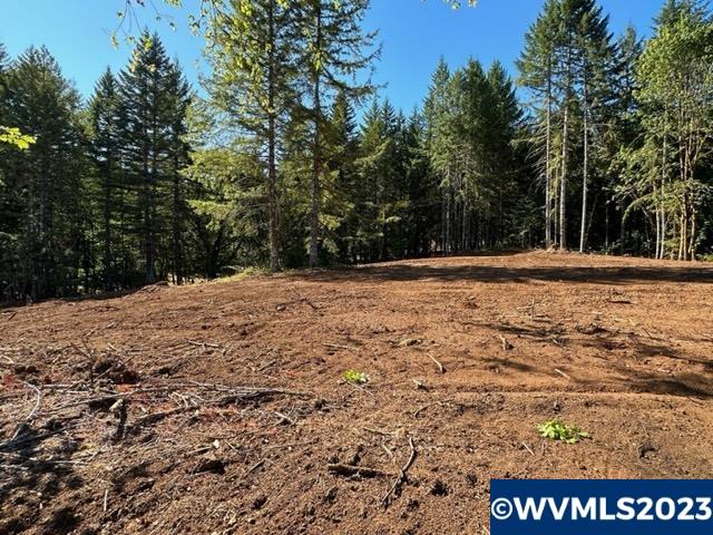 526258 Southwest Pumpkinseed Road Willamina, OR 97396 - Photo 15 of 24