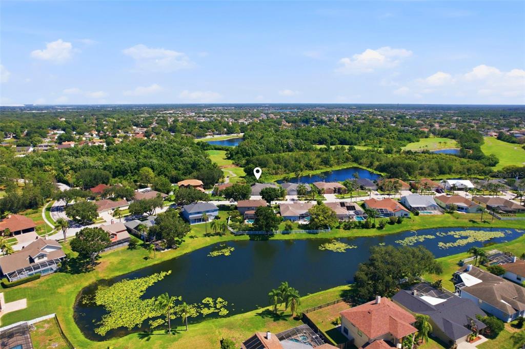 13010 Prestwick Drive Riverview, FL 33579 - Photo 50 of 60