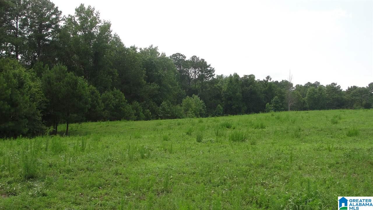 8220 Mulvehill Road Morris, AL 35116 - Photo 1 of 7