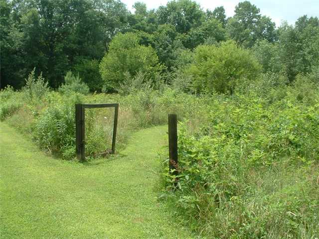 11206 Woodtown Road Galena, OH 43021 - Photo 20 of 25 Gallery Image 20