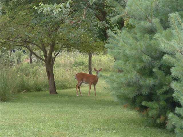 11206 Woodtown Road Galena, OH 43021 - Photo 25 of 25 Gallery Image 25