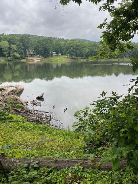 164 Coyote Lane Tidioute, PA 16351 - Photo 12 of 23
