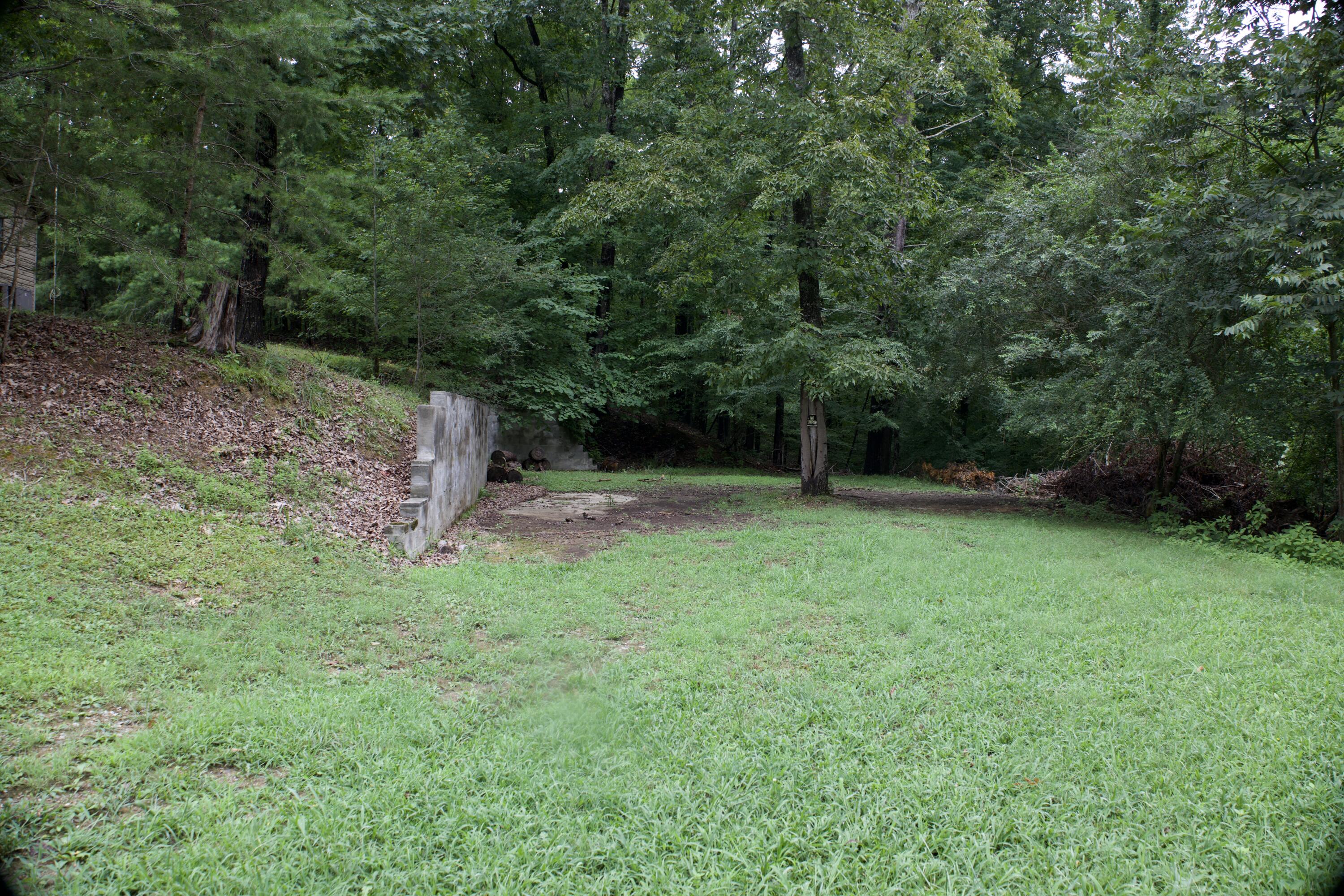 0 Apollo Drive Spring City, TN 37381 - Photo 41 of 56 4I0A5347