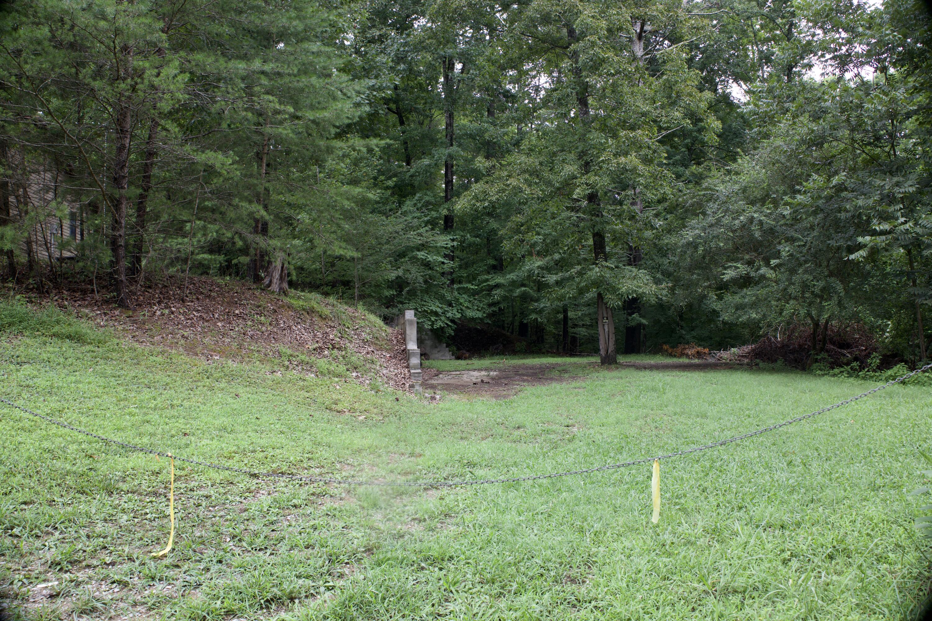 0 Apollo Drive Spring City, TN 37381 - Photo 42 of 56 4I0A5346