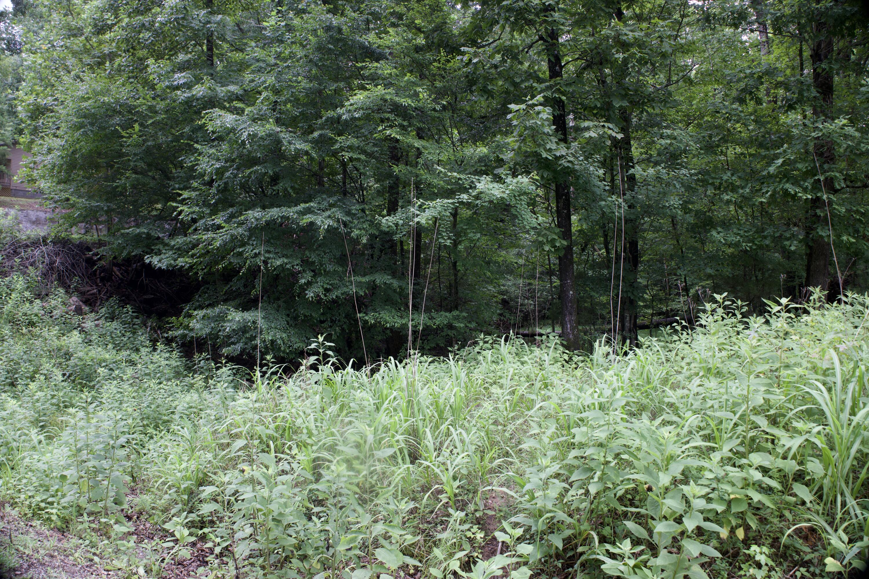 0 Apollo Drive Spring City, TN 37381 - Photo 44 of 56 4I0A5343